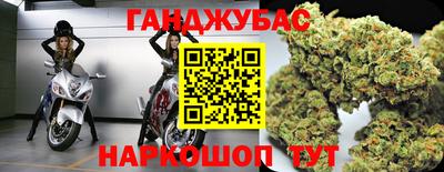 сатива Кингисепп