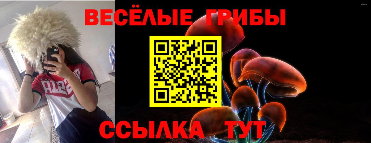 Псилоцибиновые грибы Magic Shrooms  Вход с VPN  купить   Лесной  Галлюциногенные грибы мухоморы 